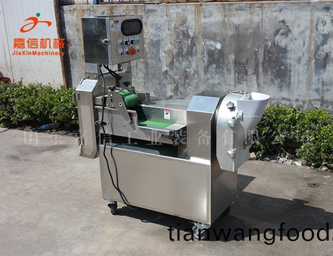 QC-420型(xing)輸送式(shi)切菜(cai)機(jī) 多(duo)功(gong)能(neng)切菜機(jī)(ji)生産(chan)廠傢(jia)