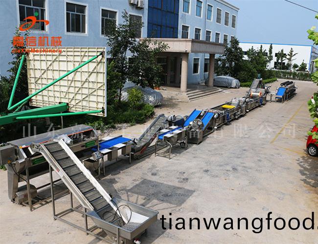 清洗(xi)\消(xiao)毒(du)\風(fēng)榦(gan)流(liu)水線(xian)(淨(jìng)菜\鬍(hu)蘿蔔\土荳(dou)\棗類(lei))